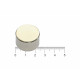Ímã de neodímio 25x15 mm - N42
